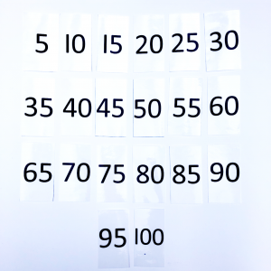 Counting Up In 5's Flash Cards