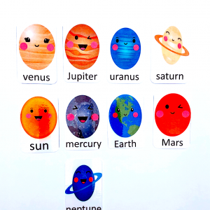 Digital Planet Flash Cards