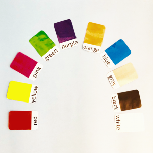 Digital Color Flash Cards